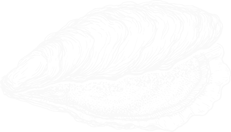 mother of pearl oyster illustration